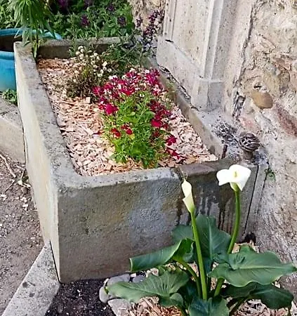Bed & Breakfast Le 9 De Cour, Kiwi Carcassonne