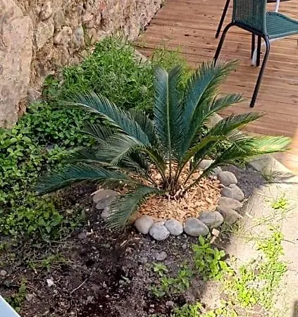 Le 9 De Cour, Kiwi Bed and Breakfast Καρκασόν